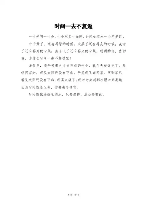 时间一去不复返_二年级作文