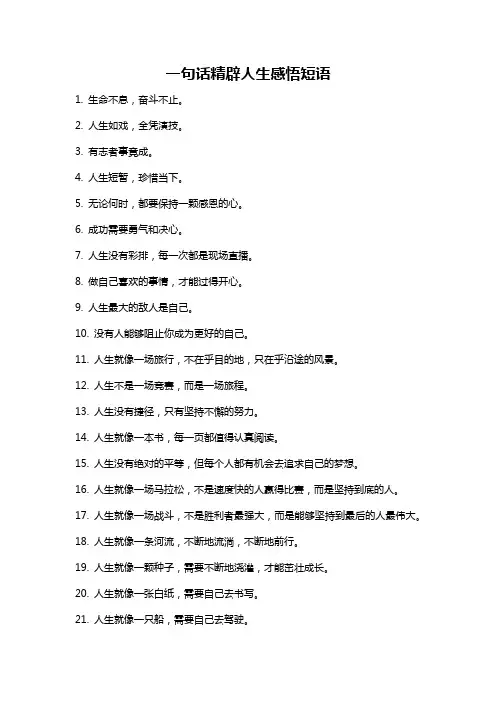 一句话精辟人生感悟短语