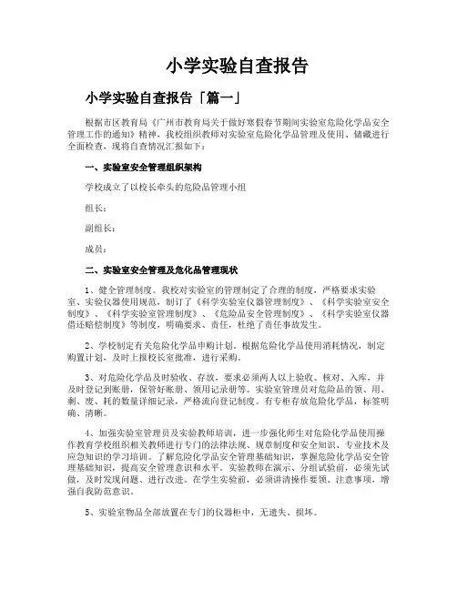 小学实验自查报告