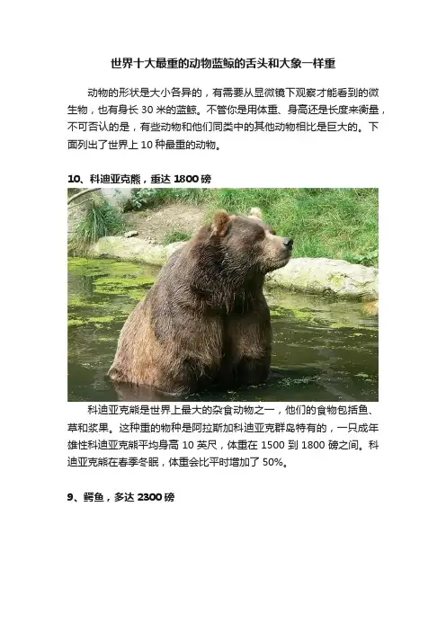 世界十大最重的动物蓝鲸的舌头和大象一样重