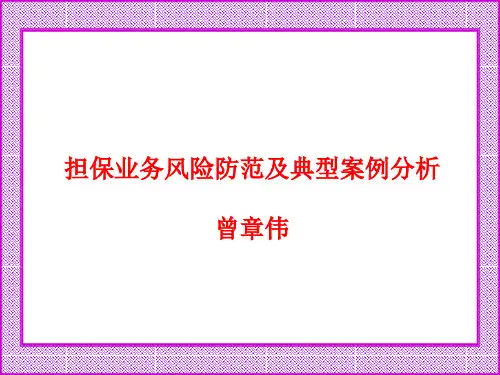 担保业务风险防范及典型案例分析曾章伟 (2)ppt课件