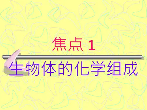生物体的化学组成