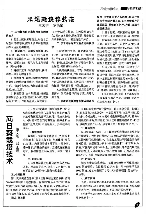 向日葵栽培技术