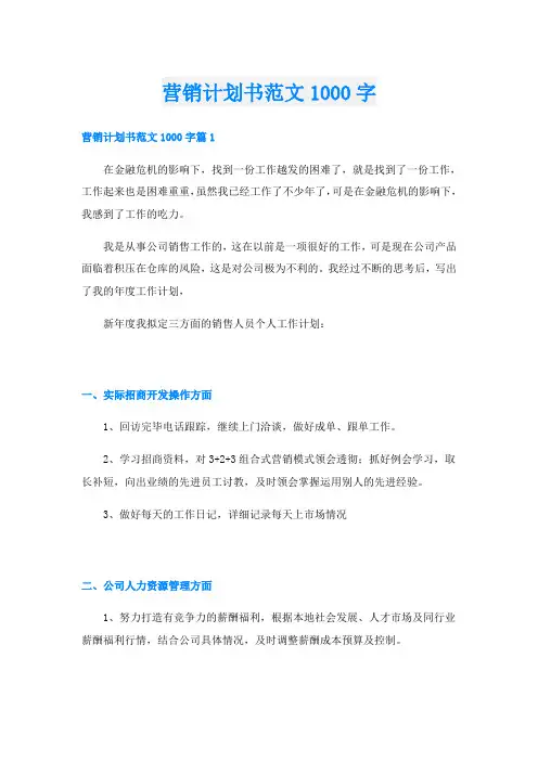 营销计划书范文1000字
