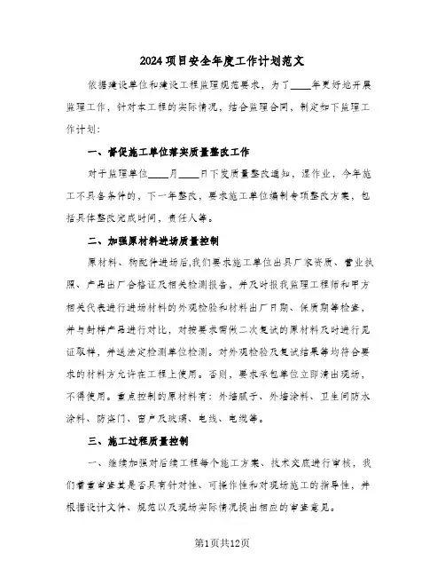 2024项目安全年度工作计划范文（四篇）