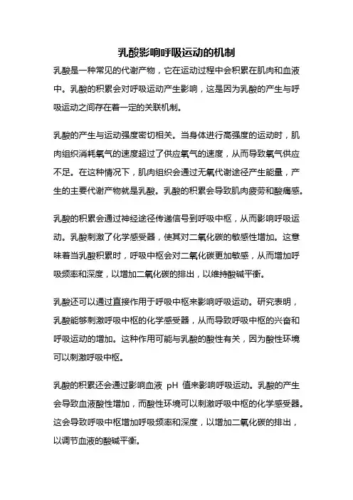 乳酸影响呼吸运动的机制