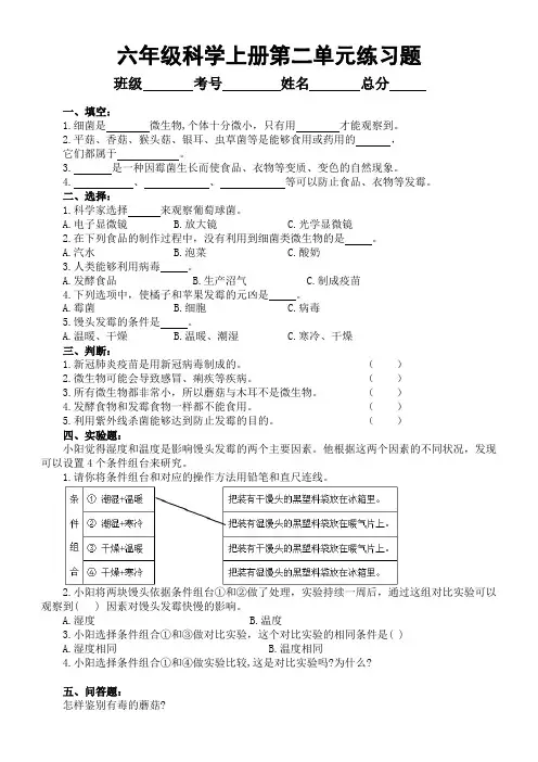 小学科学青岛版六三制六年级上册第二单元《微生物》练习题1(2022秋)(附参考答案)