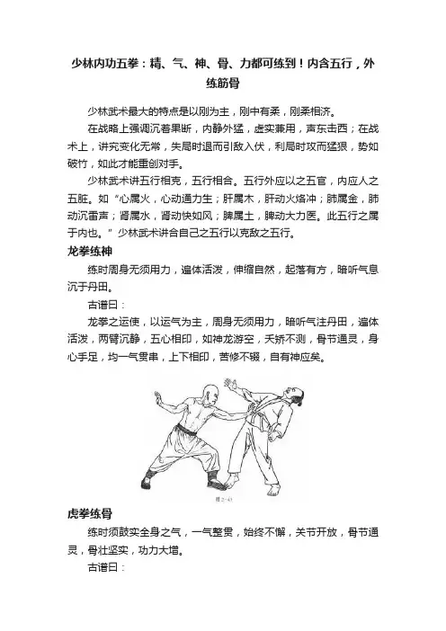 少林内功五拳：精、气、神、骨、力都可练到！内含五行，外练筋骨