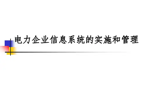 电力企业信息系统的实施和管理