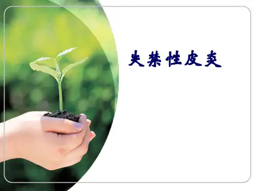 失禁性皮炎护理