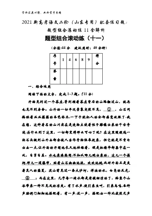 2021语文二轮(山东专用)配套练习题题型组合滚动练11含解析