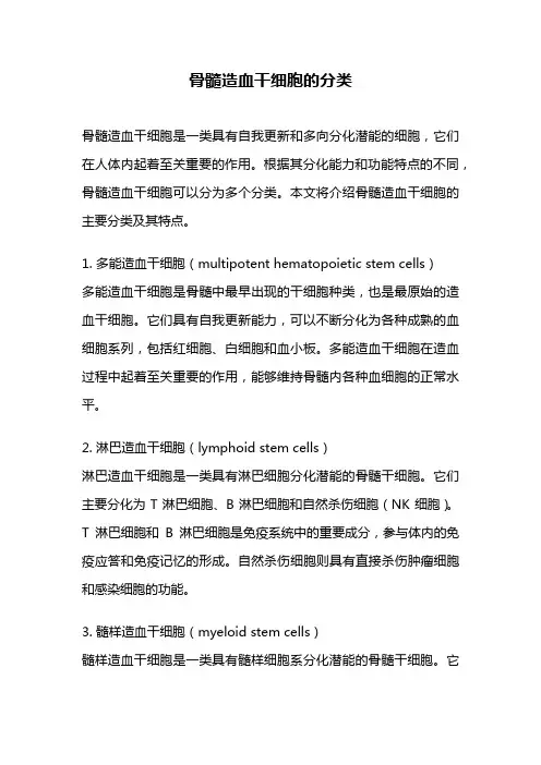 骨髓造血干细胞的分类