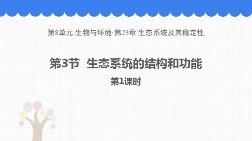 新北师大版初中八年级生物下册《生态系统的结构和功能》教学课件