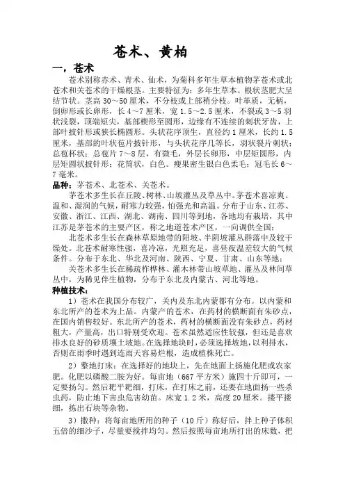 -苍术、黄柏