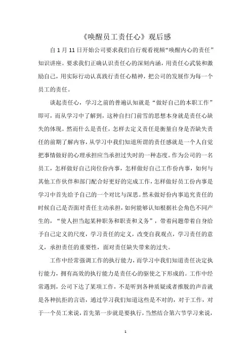 《唤醒员工责任心》观后感