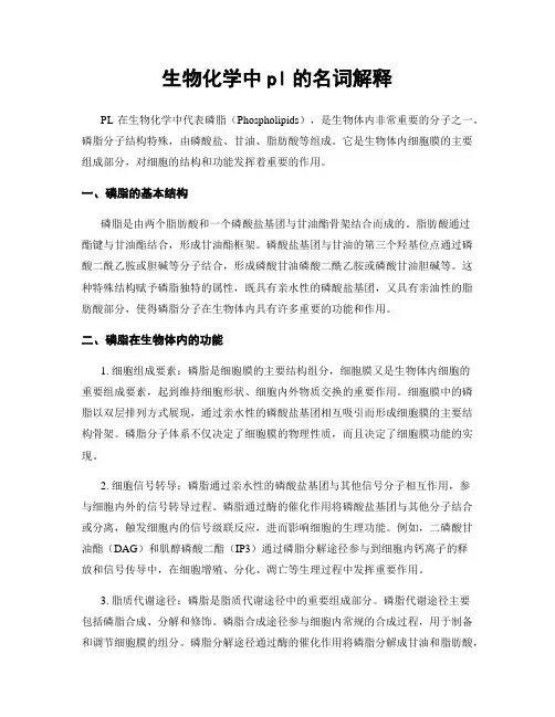 生物化学中pl的名词解释
