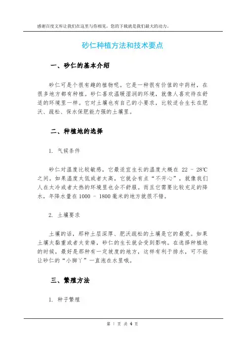 砂仁种植方法和技术要点