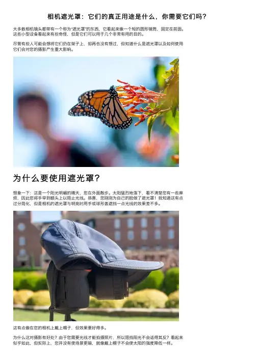 相机遮光罩：它们的真正用途是什么，你需要它们吗？