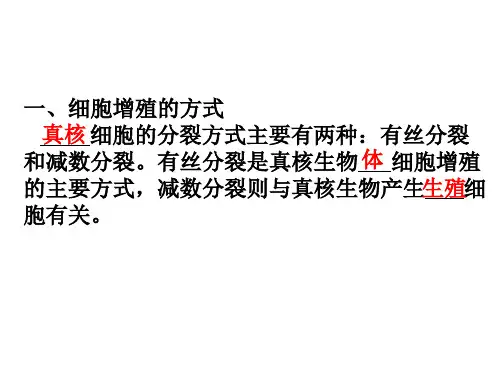 高三一轮复习生物有丝分裂课件