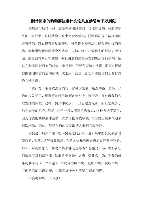 刚带回家的狗狗要注意什么这几点禁忌可千万别犯!