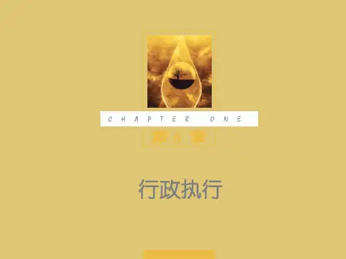 第6章 行政执行《行政管理学》PPT课件