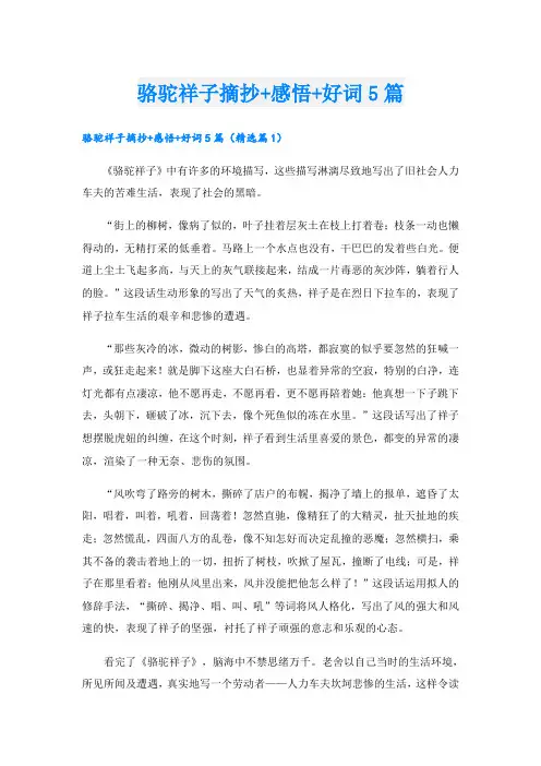 骆驼祥子摘抄+感悟+好词5篇