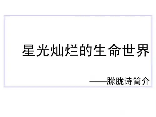 朦胧诗简介