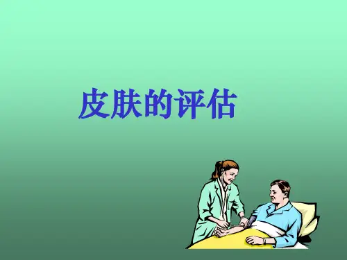 皮肤的评估