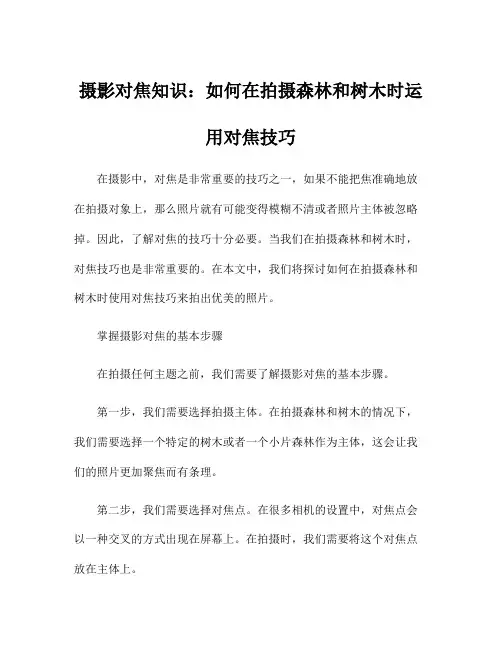 摄影对焦知识：如何在拍摄森林和树木时运用对焦技巧