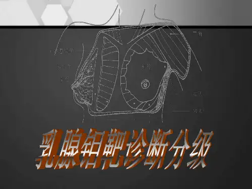 乳腺钼靶诊断分级标准  ppt课件