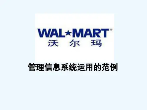 管理信息系统案例分析 PPT