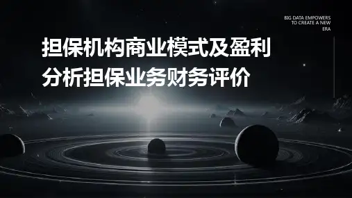 担保机构商业模式及盈利分析担保业务财务评价