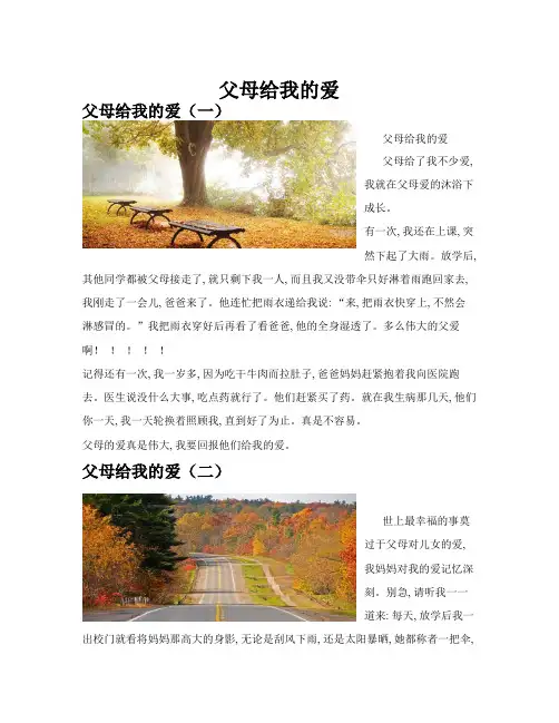 父母给我的爱(共10篇)