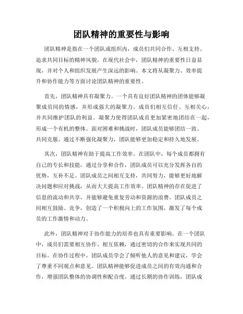 团队精神的重要性与影响