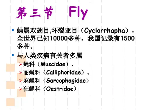 人体寄生虫学课件医学节肢动物ppt