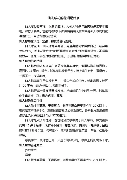 仙人球花的花语是什么