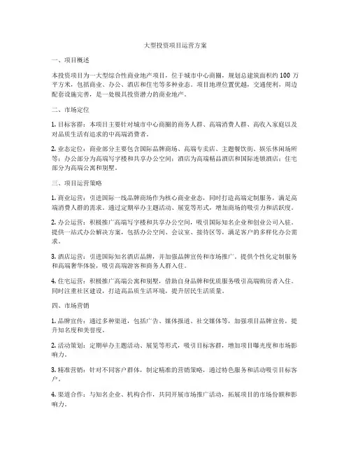 大型投资项目运营方案