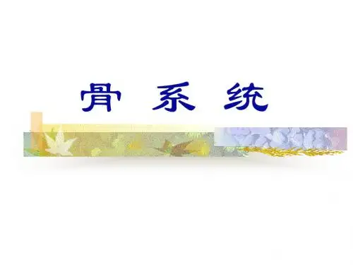 骨学总论