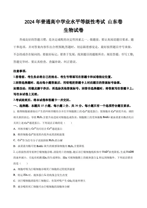 (2024年高考真题)2024年普通高中学业水平等级性考试生物试卷 山东卷(含答案)