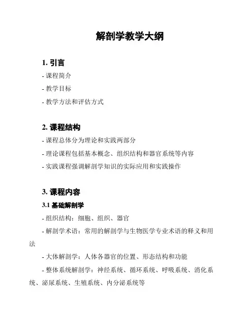 解剖学教学大纲