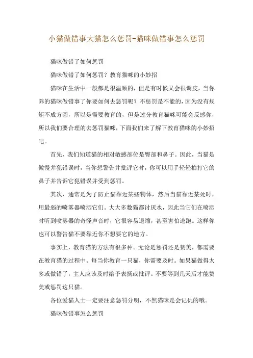 小猫做错事大猫怎么惩罚-猫咪做错事怎么惩罚