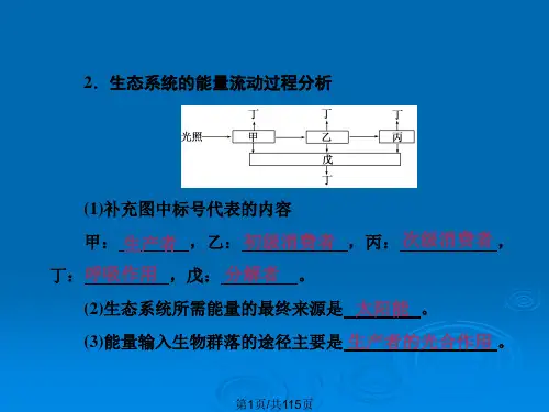 高三生物一轮复习生态系统的能量流动和物质循环新人教版必修.pptx