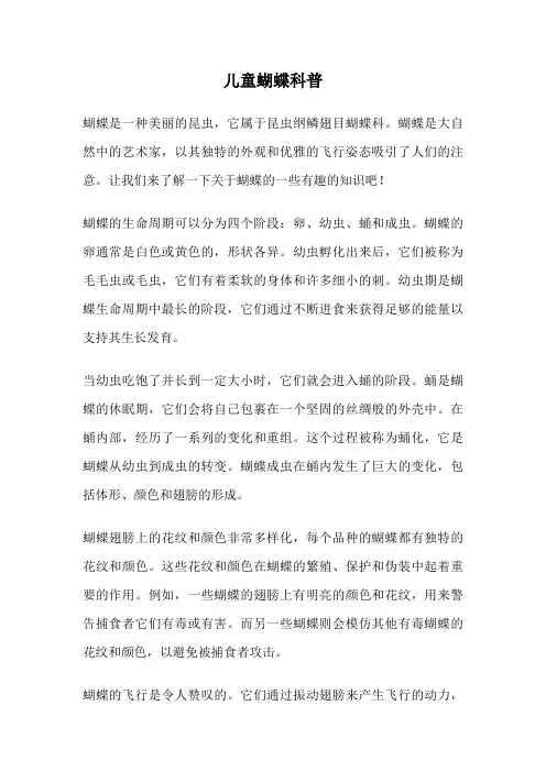 儿童蝴蝶科普