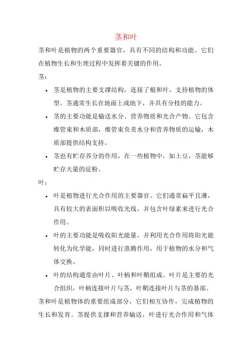 关于茎和叶
