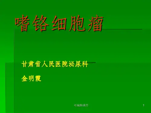 嗜铬细胞瘤幻灯PPT课件