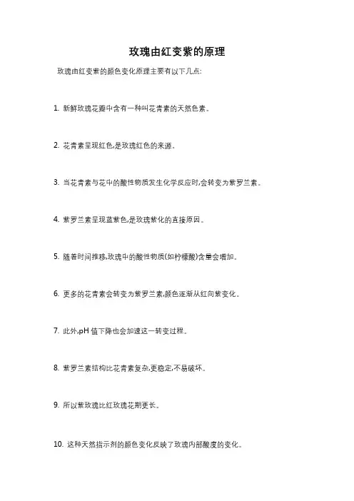 玫瑰由红变紫的原理
