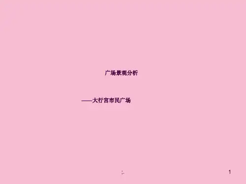 广场景观分析ppt课件