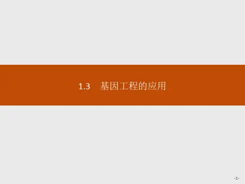 2019-2020学年人教版生物选修三同步课件：1.3 基因工程的应用
