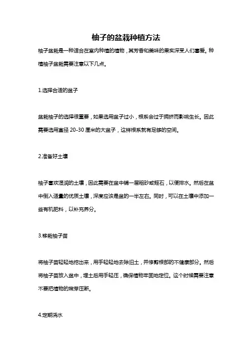 柚子的盆栽种植方法