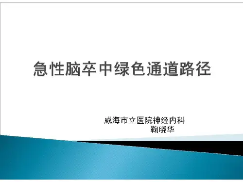 急性脑卒中绿色通道路径201XPPT课件